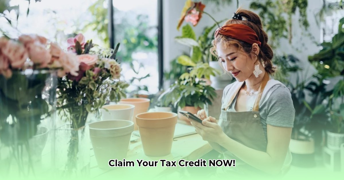 independent-earner-tax-credit
